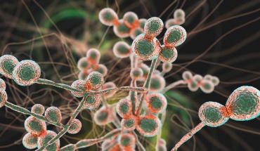 Aυξάνονται παγκοσμίως οι μυκητιασικές λοιμώξεις