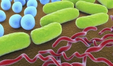 Διαβήτης: Γιατί κάνει το άτομο πιο ευαίσθητο σε βακτήρια