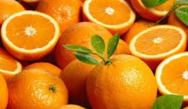 Τα πορτοκάλια και ο ρόλος τους στην αντιμετώπιση των ιώσεων
