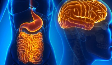 Προβλήματα στο έντερο και κατάθλιψη: Κοινή θεραπεία