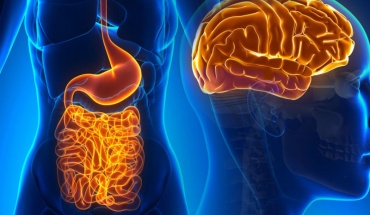 Προβλήματα στο έντερο και κατάθλιψη: Κοινή θεραπεία