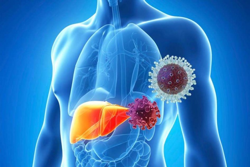 Rapid test &gamma;&iota;&alpha; &tau;&omicron;&nu; &epsilon;&nu;&tau;&omicron;&pi;&iota;&sigma;&mu;ό &tau;&eta;&sigmaf; &eta;&pi;&alpha;&tau;ί&tau;&iota;&delta;&alpha;&sigmaf; C