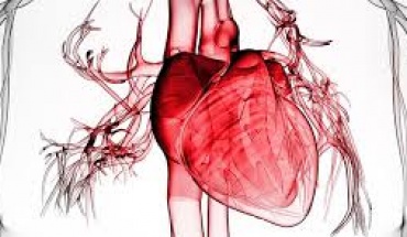 Παγκόσμια Ημέρα της Γυναίκας 2026 και Καρδιο-Ογκολογία