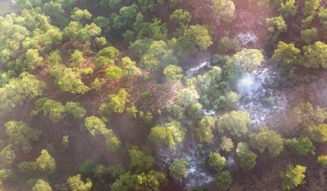 Υπό έλεγχο δασικές πυρκαγιές από κεραυνούς