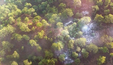 Υπό έλεγχο δασικές πυρκαγιές από κεραυνούς