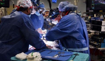 Θεραπεία RNA ίσως βοηθήσει την καρδιά να επιδιορθώνεται μόνη της