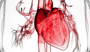 Νέα θεραπευτική προσέγγιση για την καρδιακή ανεπάρκεια