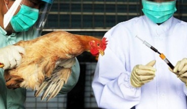 Κίνα: Πρώτο κρούσμα σε άνθρωπο του στελέχους H10N3 της γρίπης των πτηνών