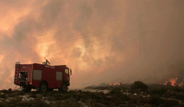 Yπό έλεγχο δασική πυρκαγιά στα όρια του Δήμου Πέγειας της επαρχίας Πάφου