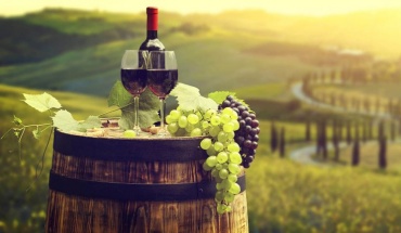 Γαλλία: Ο καύσωνας μειώνει παραγωγή οίνου αλλά ενισχύει ποιότητα