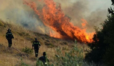 Ένα δεκάριο έκαψε η δασική πυρκαγιά στην Ίνεια