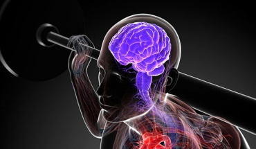 Η άσκηση μπορεί να είναι το κλειδί για την υγεία του εγκεφάλου