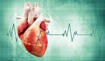 Εντοπίστηκε βιοδείκτης που καθορίζει το προσδόκιμο ζωής στην καρδιακή ανεπάρκεια