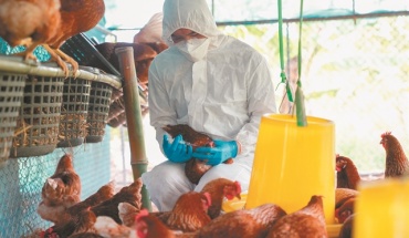 Ανησυχίες ΠΟΥ για μετάδοση γρίπης των πτηνών σε ανθρώπους