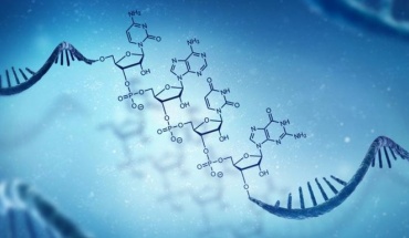 Εμβόλια τεχνολογίας mRNA στη μάχη κατά της ελονοσίας