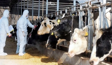 Έγιναν 8 χιλ. εμβολιασμοί -Το Σάββατο η επόμενη παραλαβή