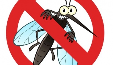 Προστατευόμαστε από τα κουνούπια- Κρούσματα ιού του Δυτικού Νείλου στην Ελλάδα