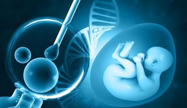 Η έκθεση του εμβρύου σε χημικές ουσίες συνδέεται με την αύξηση του σωματικού βάρους