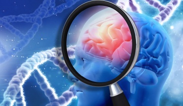 Νόσος Αλτσχάιμερ και σύνδεση με άλλες διαταραχές του εγκεφάλου