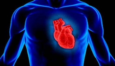 Πώς η «ορμόνη της αγάπης» μπορεί να βοηθήσει στην επούλωση της καρδιάς