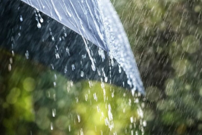 &Sigma;&tau;&omicron; 116% &tau;&eta;&sigmaf; &kappa;&alpha;&nu;&omicron;&nu;&iota;&kappa;ή&sigmaf; &eta; &beta;&rho;&omicron;&chi;ό&pi;&tau;&omega;&sigma;&eta; &Delta;&epsilon;&kappa;&epsilon;&mu;&beta;&rho;ί&omicron;&upsilon;