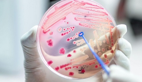 Μηνιγγίτιδα τύπου Β: Τι την προκαλεί και πώς αντιμετωπίζεται