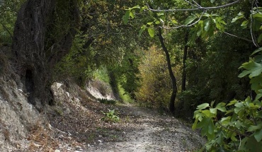 Σύσταση Εθνικής Τεχνικής Επιτροπής για τα μονοπάτια στη φύση