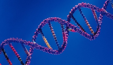 Ίδια γονίδια καθορίζουν την αντοχή στην άσκηση, την ανοχή στο κρύο και την κυτταρική αυτοφαγία