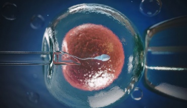 Επιστήμονες ζητούν να διευκολυνθεί η αξιοποίηση γονιμοποιημένων ωαρίων για έρευνα