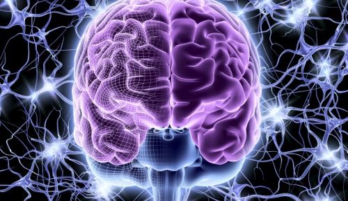 Πώς οι κοινωνικοί δεσμοί επηρεάζουν το νευρικό συγχρονισμό στον εγκέφαλο