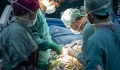 Εγκρίθηκαν στις ΗΠΑ  οι δοκιμές μεταμόσχευσης νεφρών από χοίρους σε ανθρώπους