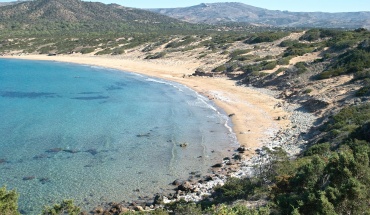 Οικολόγοι: Δεν είναι διαπραγατεύσιμη η νομοθεσία για Λάρα