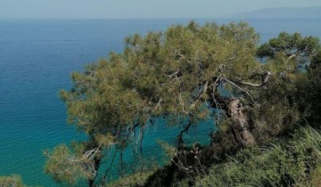Υπ. Γεωργίας: Προωθείται μείωση περιβαλλοντικών επιπτώσεων στον Ακάμα