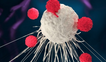 Αναπτύσσουν μέθοδο ενίσχυσης του ανοσοποιητικού για την καταπολέμηση του καρκίνου