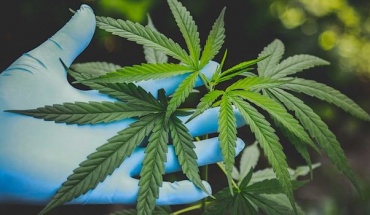 Για επικίνδυνα προϊόντα «κάνναβης» προειδοποιεί η Αρχή Αντιμετώπισης Εξαρτήσεων