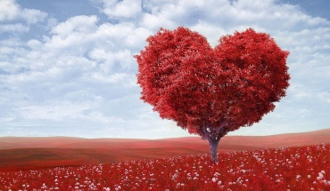 Η γιορτή των ερωτευμένων μάς θυμίζει ότι ο έρωτας χαρίζει υγεία