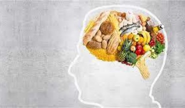 Ορμόνη και εξειδικευμένα εγκεφαλικά κύτταρα ρυθμίζουν τη διατροφική συμπεριφορά