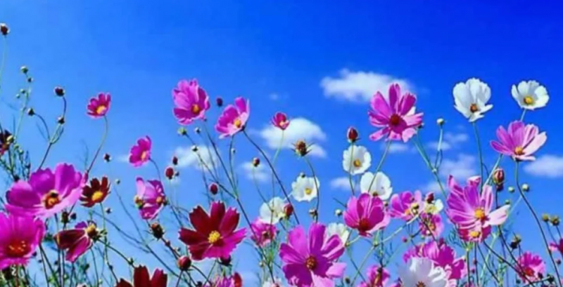 &Nu;έ&omicron; &pi;&rho;ό&gamma;&rho;&alpha;&mu;&mu;&alpha; ά&sigma;&kappa;&eta;&sigma;&eta;&sigmaf;, &delta;&iota;&alpha;&tau;&rho;&omicron;&phi;ή&sigmaf; &kappa;&alpha;&iota; &psi;&upsilon;&chi;&iota;&kappa;ή&sigmaf; &epsilon;&kappa;&tau;ό&nu;&omega;&sigma;&eta;&sigmaf; &epsilon;&nu;ό&psi;&epsilon;&iota; ά&nu;&omicron;&iota;&xi;&eta;&sigmaf;