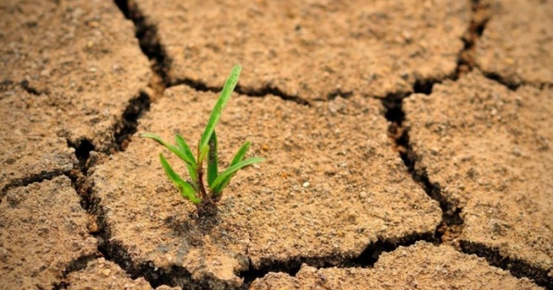 &Tau;&mu;. &Gamma;&epsilon;&omega;&rho;&gamma;ί&alpha;&sigmaf;: &Epsilon;&nu;ί&sigma;&chi;&upsilon;&sigma;&eta; &sigma;&epsilon; &alpha;&gamma;&rho;ό&tau;&epsilon;&sigmaf; &euro;10,2 &epsilon;&kappa;&alpha;&tau;. &gamma;&iota;&alpha; &epsilon;&pi;&iota;&pi;&tau;ώ&sigma;&epsilon;&iota;&sigmaf; &xi;&eta;&rho;&alpha;&sigma;ί&alpha;&sigmaf;