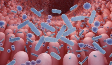 Μικροβίωμα  του εντέρου και φαρμακευτικές αγωγές: Ένας φαύλος κύκλος