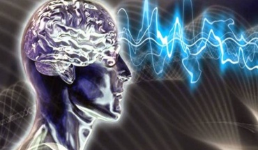 Η γλώσσα δεν χρησιμεύει μόνο για επικοινωνία, αλλά διαμορφώνει και εμπειρίες στον εγκέφαλο