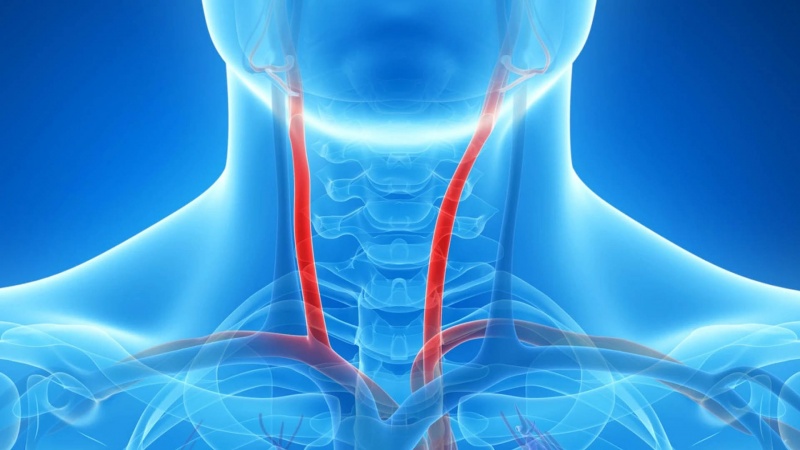 &Pi;&alpha;&lambda;&lambda;ό&mu;&epsilon;&nu;&eta; &epsilon;&mu;&beta;&omicron;ή ή &alpha;&pi;&lambda;ά έ&nu;&alpha; &alpha;&gamma;&gamma;&epsilon;ί&omicron; &pi;&omicron;&upsilon; &lambda;&epsilon;&iota;&tau;&omicron;&upsilon;&rho;&gamma;&epsilon;ί &kappa;&alpha;&nu;&omicron;&nu;&iota;&kappa;ά;
