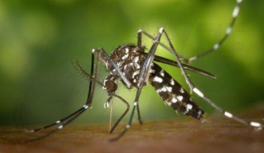 Συνεχίζονται στη Λάρνακα οι ψεκασμοί για καταπολέμηση κουνουπιών