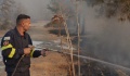 Πυρκαγιά Λεμεσού: 100 χρόνια για να επανέλθει η φύση