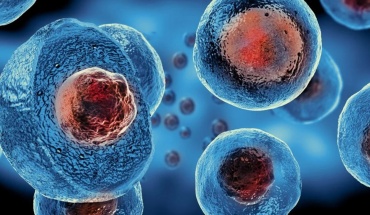 «Χρονοκάψουλα» για κύτταρα δημιούργησαν ερευνητές