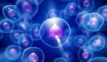 Πώς η θεραπεία με βλαστοκύτταρα θα μπορούσε να καταπολεμήσει τη ΣκΠ