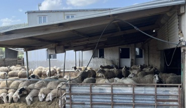 Οι Κτηνιατρικές Υπηρεσίες τηρούν τα πρωτόκολλα