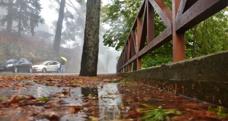 &Kappa;&lambda;&epsilon;&iota;&sigma;&tau;ό&sigmaf; &pi;&alpha;&rho;&alpha;&mu;έ&nu;&epsilon;&iota; &delta;&rho;ό&mu;&omicron;&sigmaf; &sigma;&tau;&omicron; &Epsilon;&theta;&nu;&iota;&kappa;ό &Delta;&alpha;&sigma;&iota;&kappa;ό &Pi;ά&rho;&kappa;&omicron; &Mu;&alpha;&chi;&alpha;&iota;&rho;ά &lambda;ό&gamma;&omega; &epsilon;&pi;&iota;&kappa;ί&nu;&delta;&upsilon;&nu;&eta;&sigmaf; &kappa;&lambda;ί&sigma;&eta;&sigmaf;