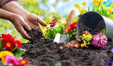Η κηπουρική βοηθάει στη διατήρηση καλύτερης ψυχικής υγείας