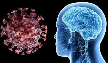 H COVID-19 στον εγκέφαλο: Aνοσολογική απόκριση μπορεί να προκαλέσει βλάβη